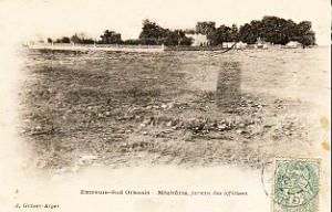 Mecheria 11
